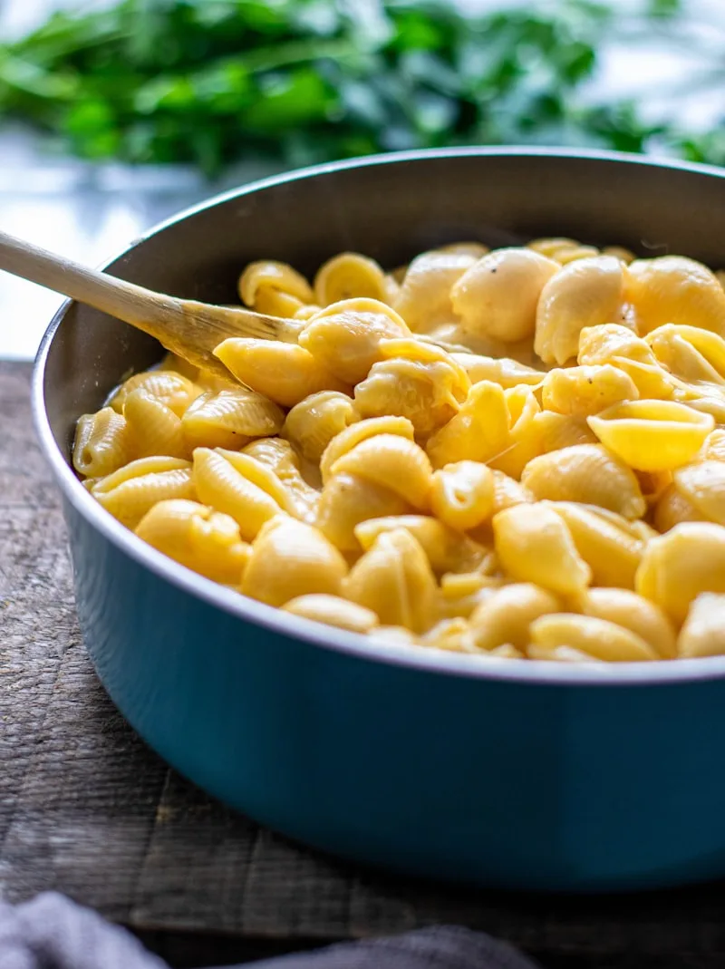 Stovetop Shell Mac and Cheese